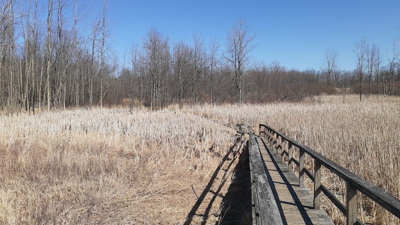 Tillman Road Wildlife Management Area photo 3