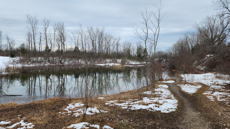 Tillman Road Wildlife Management Area photo 4