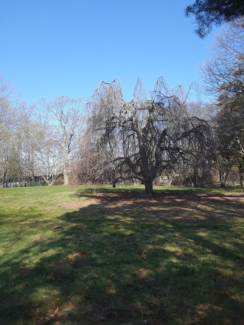 Timber Point County Park photo 4
