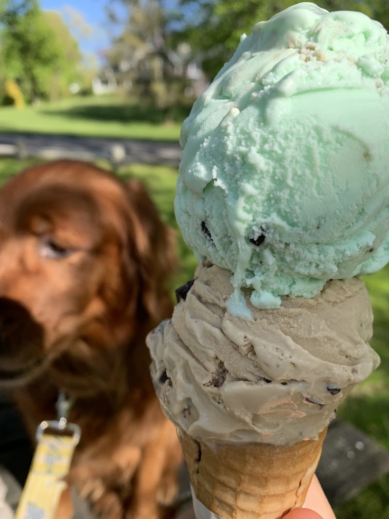 Topper’s Ice Cream photo 5