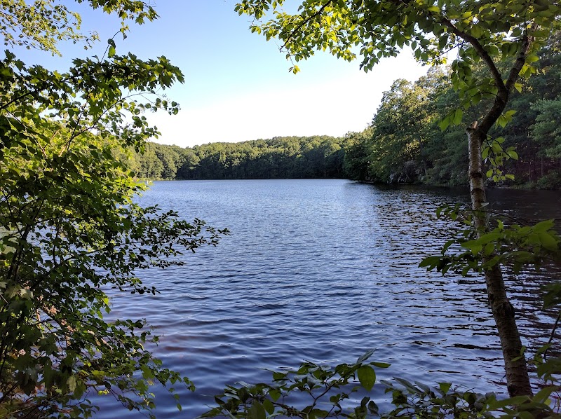 Topstone Park photo 2