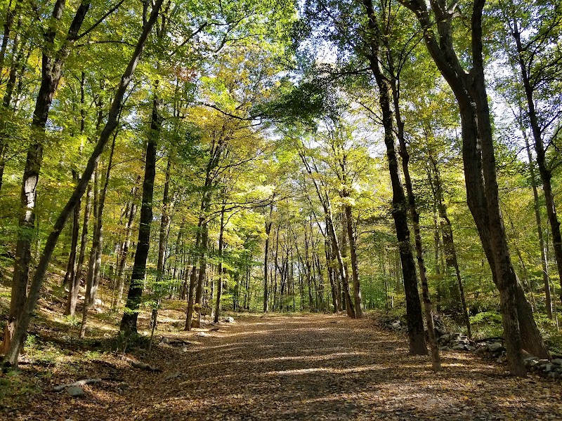 Topstone Park photo 4