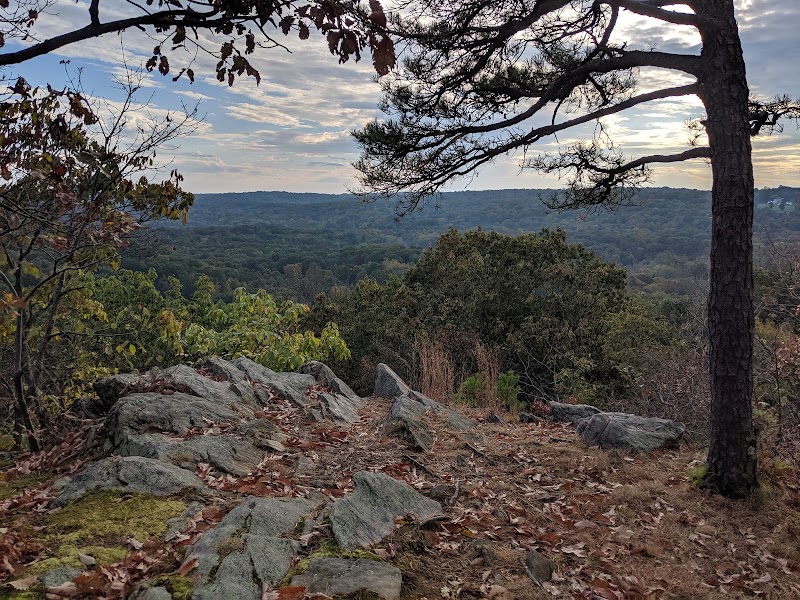 Topstone Park photo 5