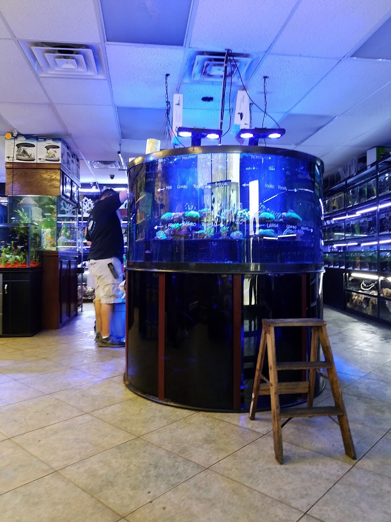 Total Aquariums photo 2