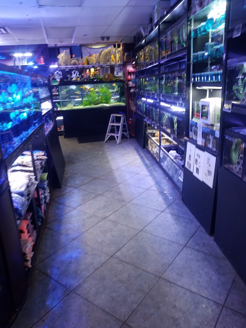 Total Aquariums photo 5