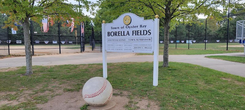 Town of Oyster Bay Borella Fields 650 plainview rd photo 2