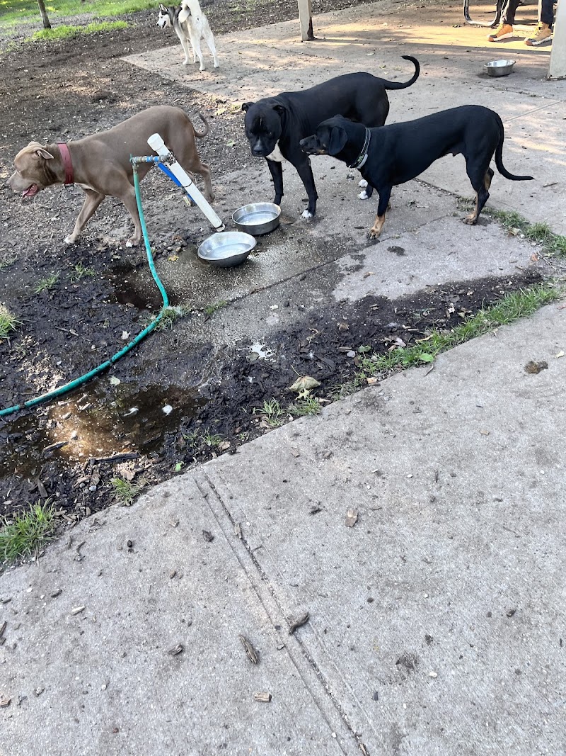 Town of Oyster Bay Dog Park photo 4