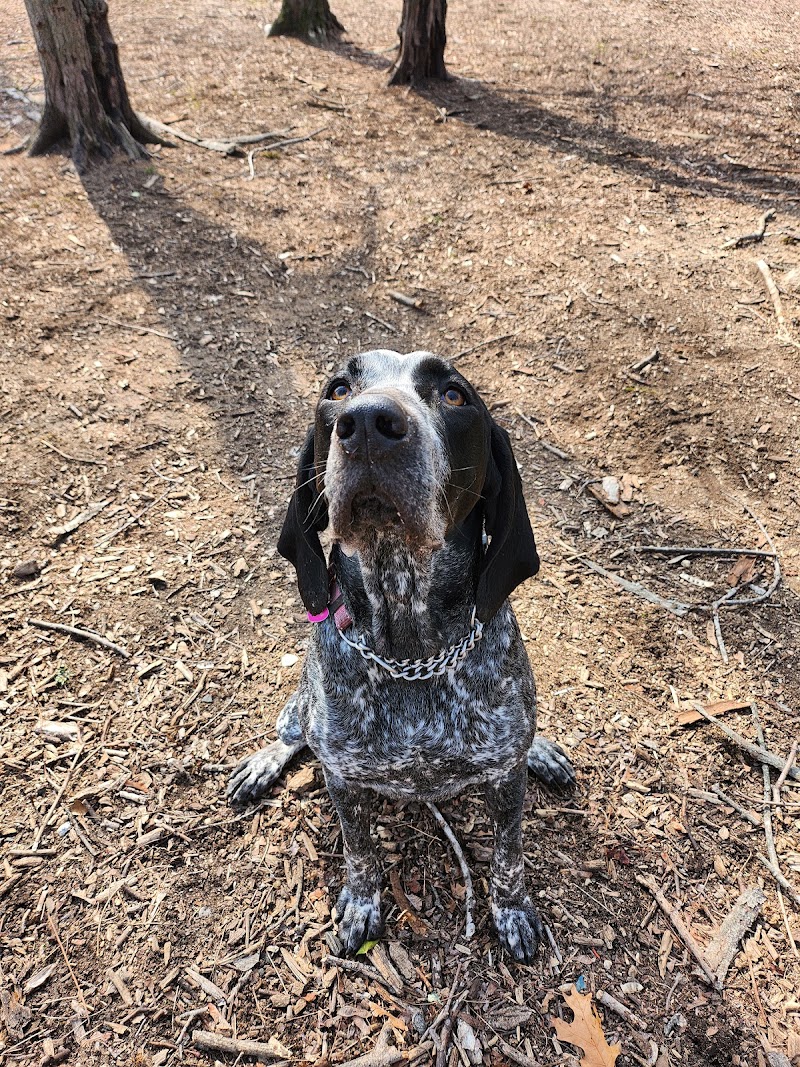 Town of Oyster Bay Dog Park photo 5