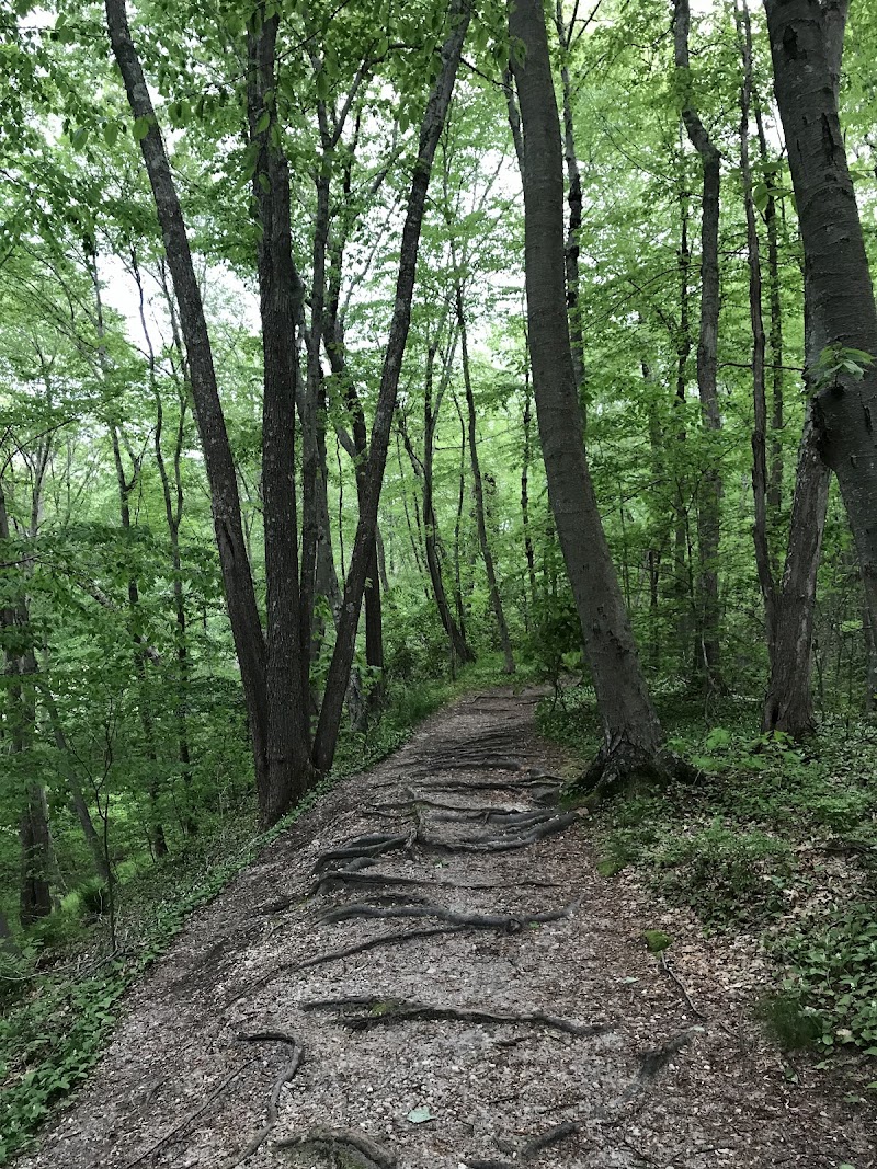Trail View State Park photo 1