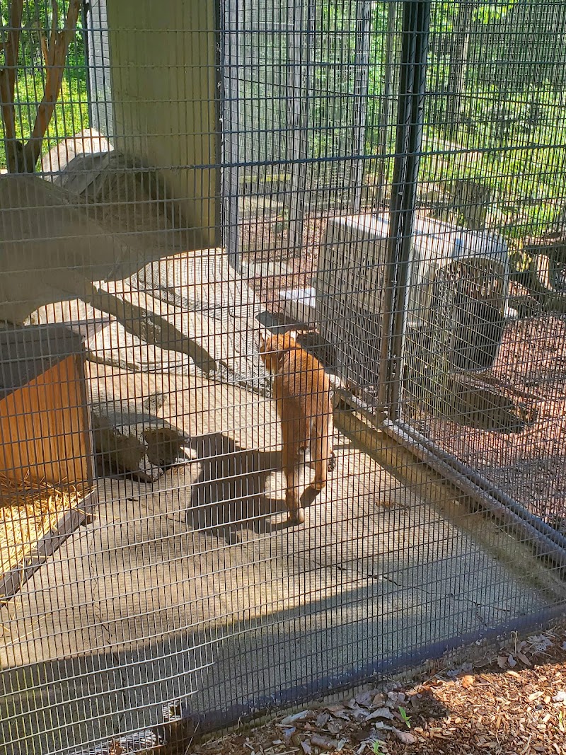 Trailside Museums & Zoo photo 3