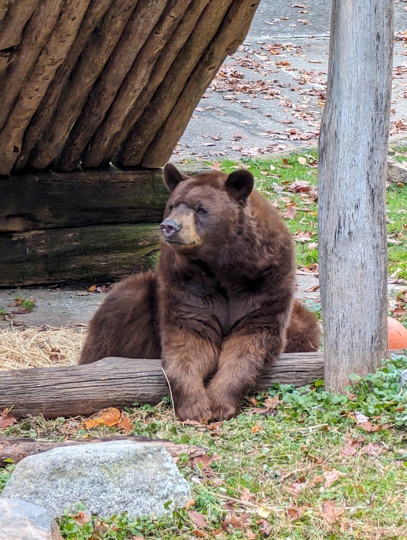 Trailside Museums & Zoo photo 4