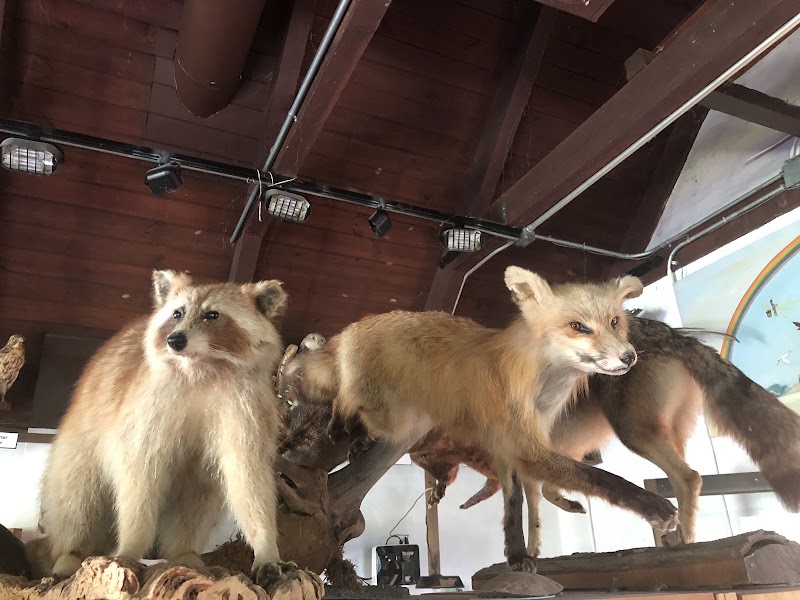 Trailside Nature Museum photo 3