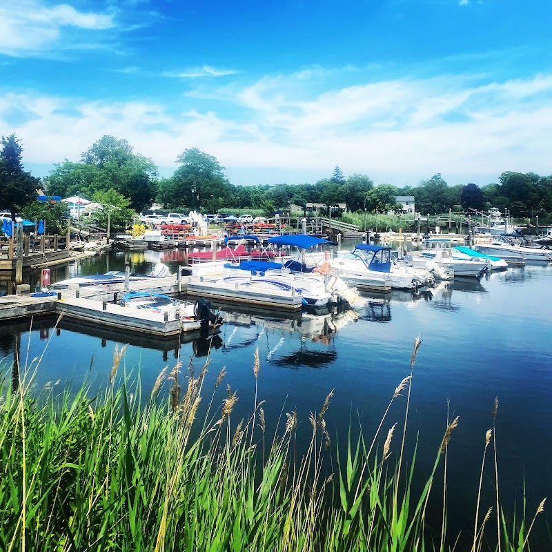 Treasure Cove Resort Marina photo 1