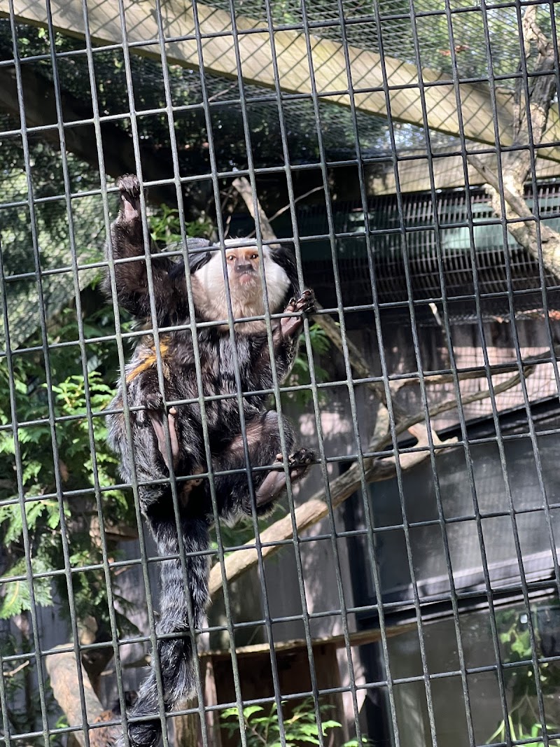 Trevor-Lovejoy Zoo at Millbrook School photo 5