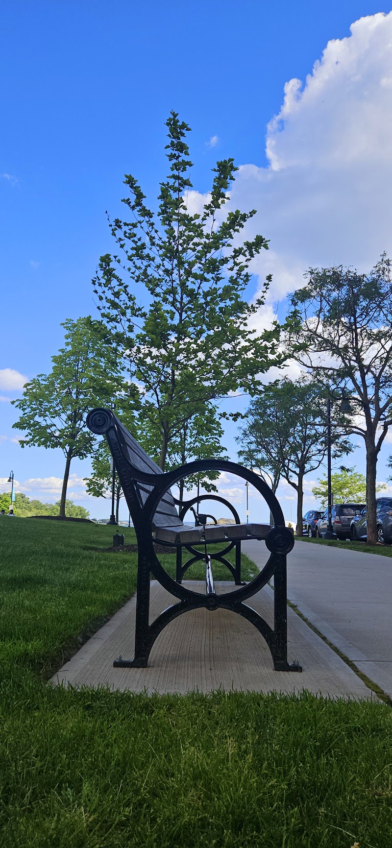 Triangle Park photo 4