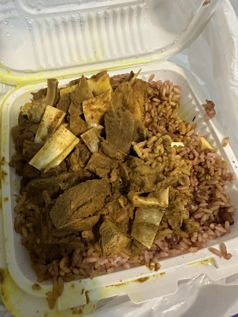 Tropical Jerk Baldwin photo 5