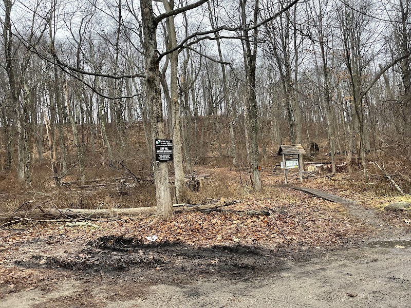 Trout Brook Valley Preserve photo 2