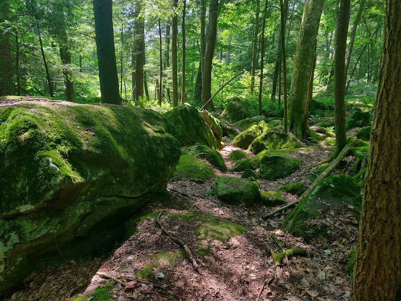 Trout Brook Valley Preserve photo 3