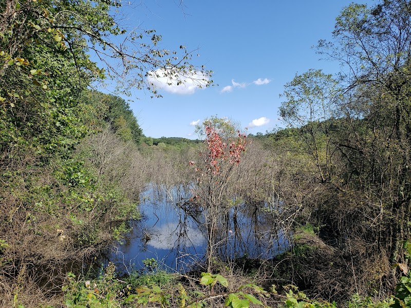 Trout Brook Valley Preserve photo 4