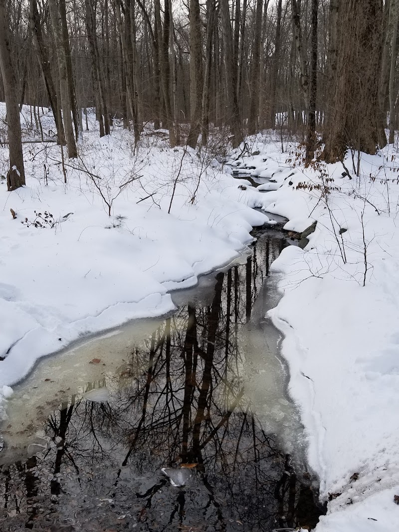 Trout Brook Valley Preserve photo 5