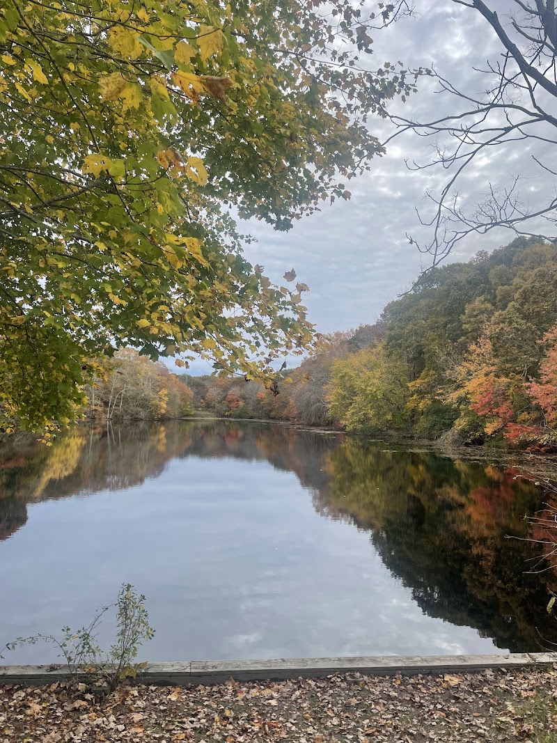 Trout Pond Park photo 2