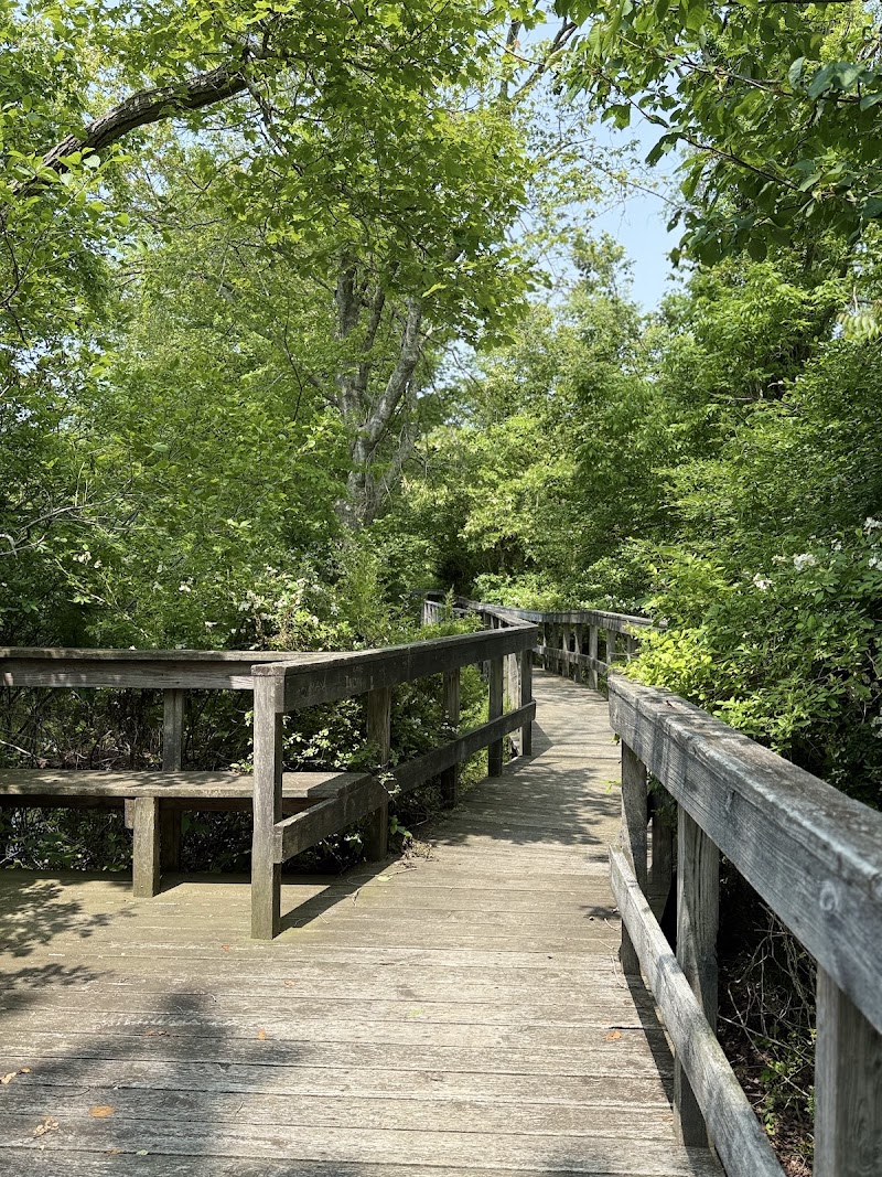 Trout Pond Park photo 3