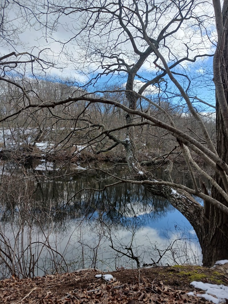 Trout Pond Park photo 4