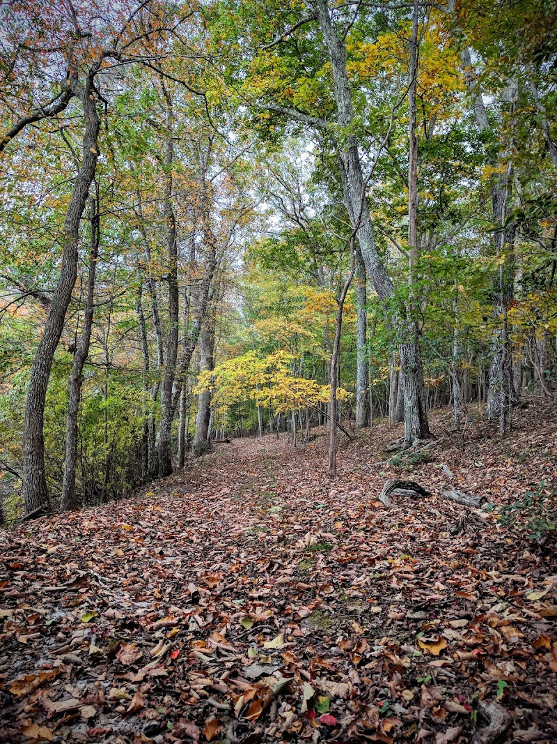 Trout Pond Park photo 5