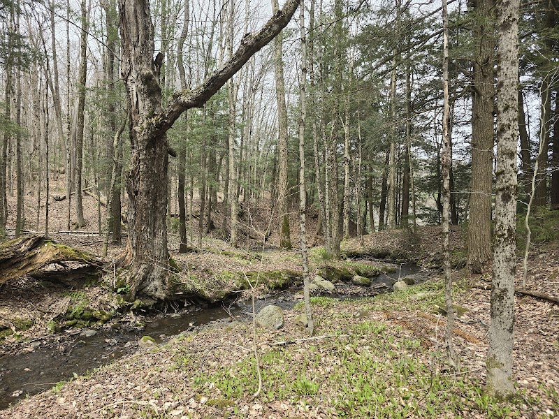 Tug Hill State Forest photo 2
