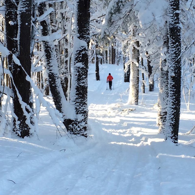 Tug Hill State Forest photo 4