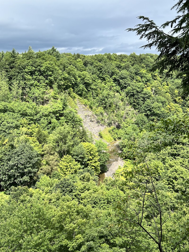 Tug Hill State Forest photo 5