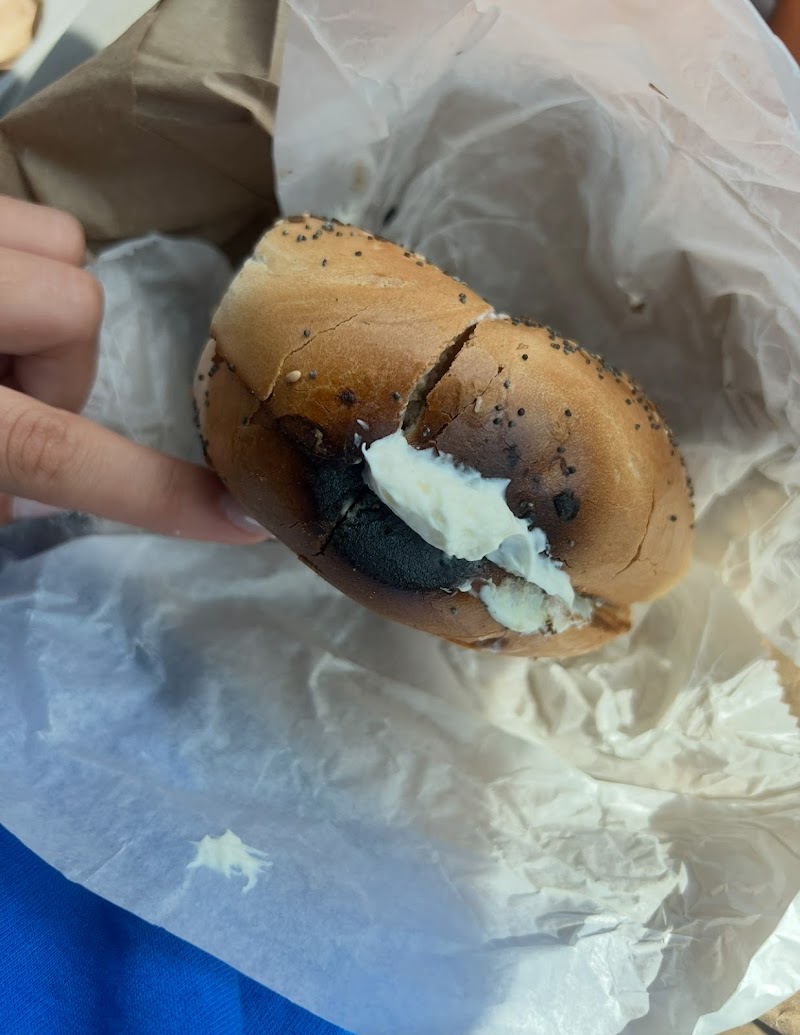 Tulip Bagels photo 5