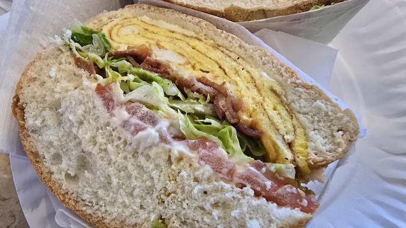 Tulip Bagels 🥯 photo 2