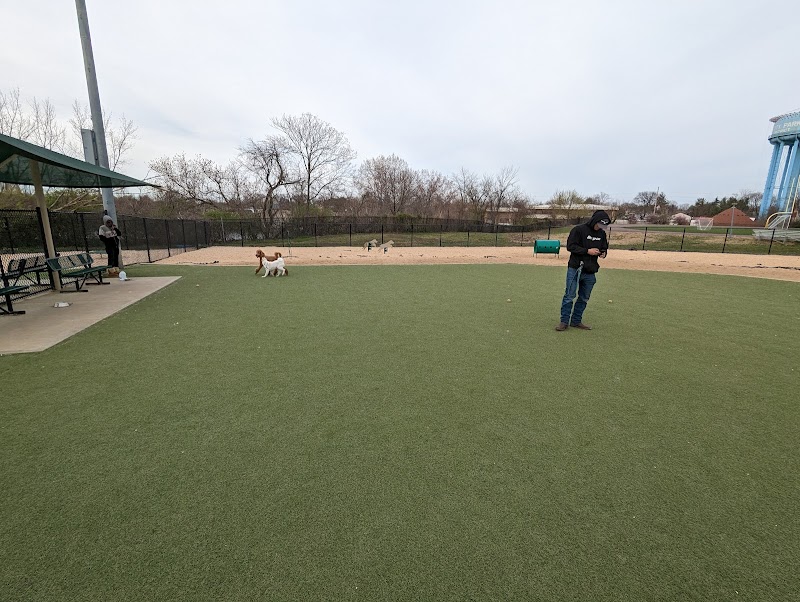 Tully Dog Park photo 3