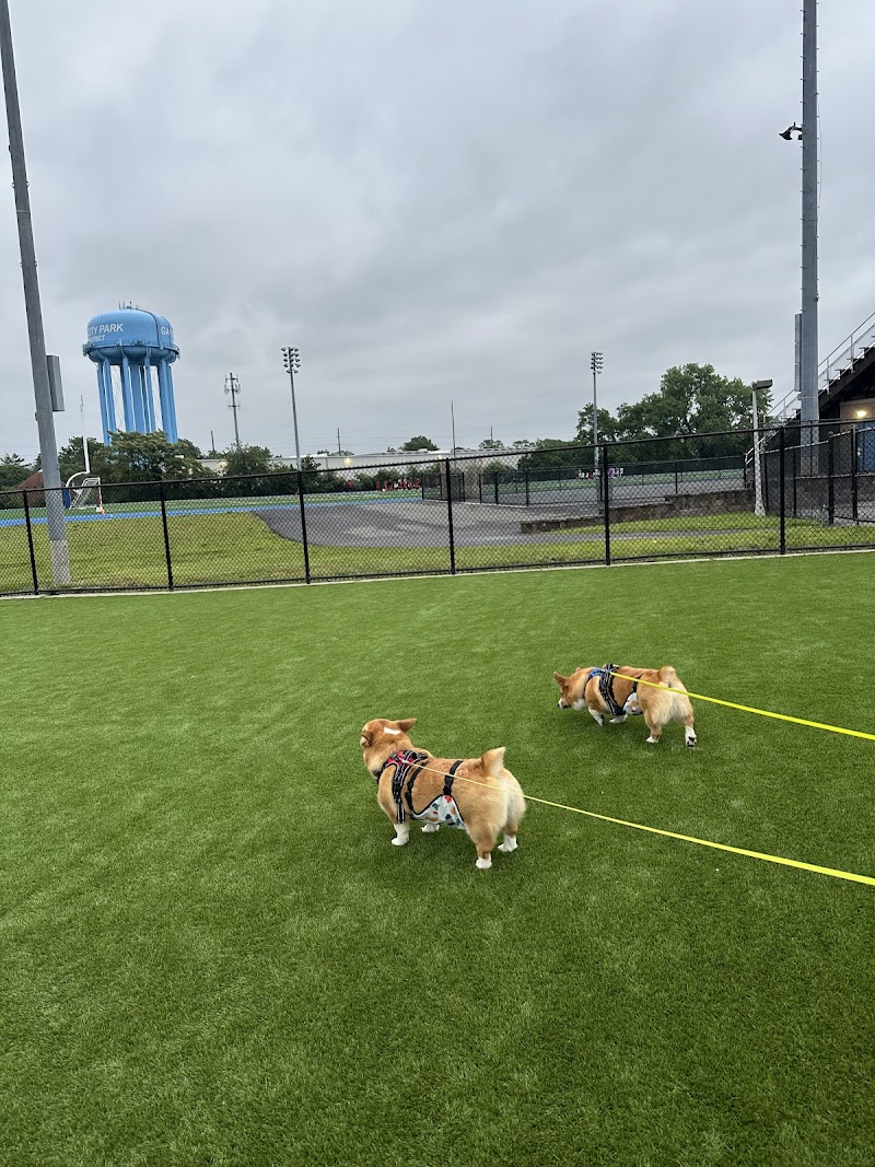 Tully Dog Park photo 4