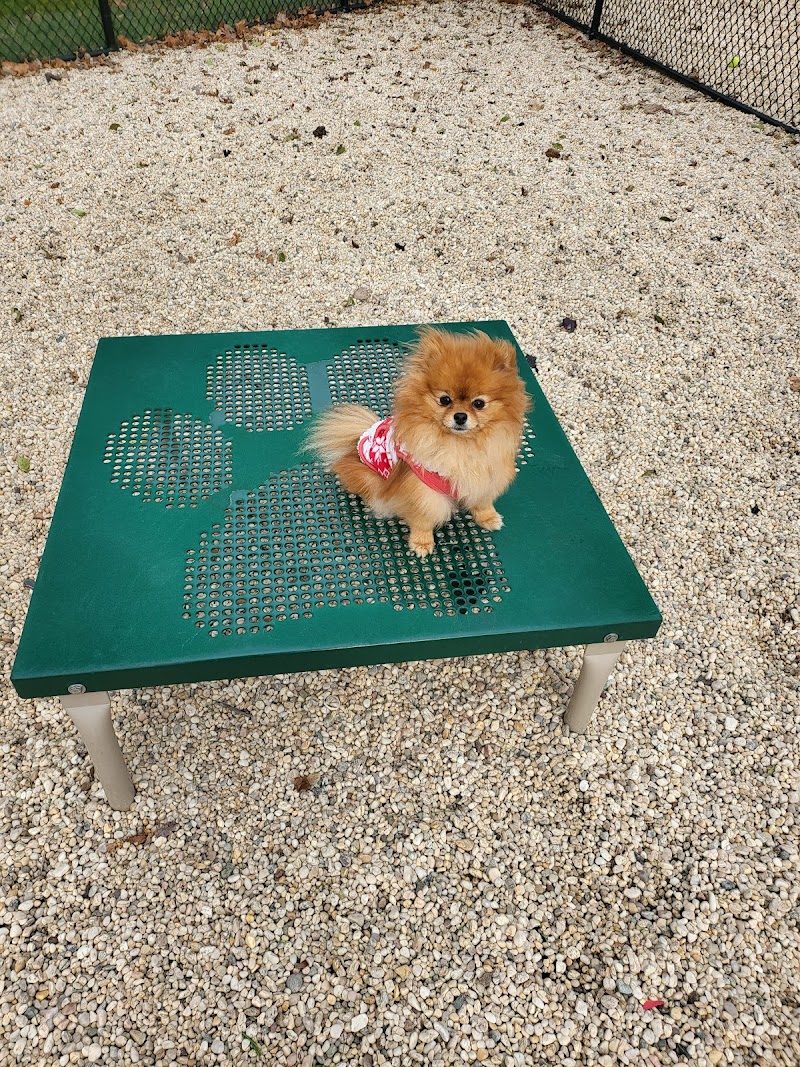 Tully Dog Park photo 5