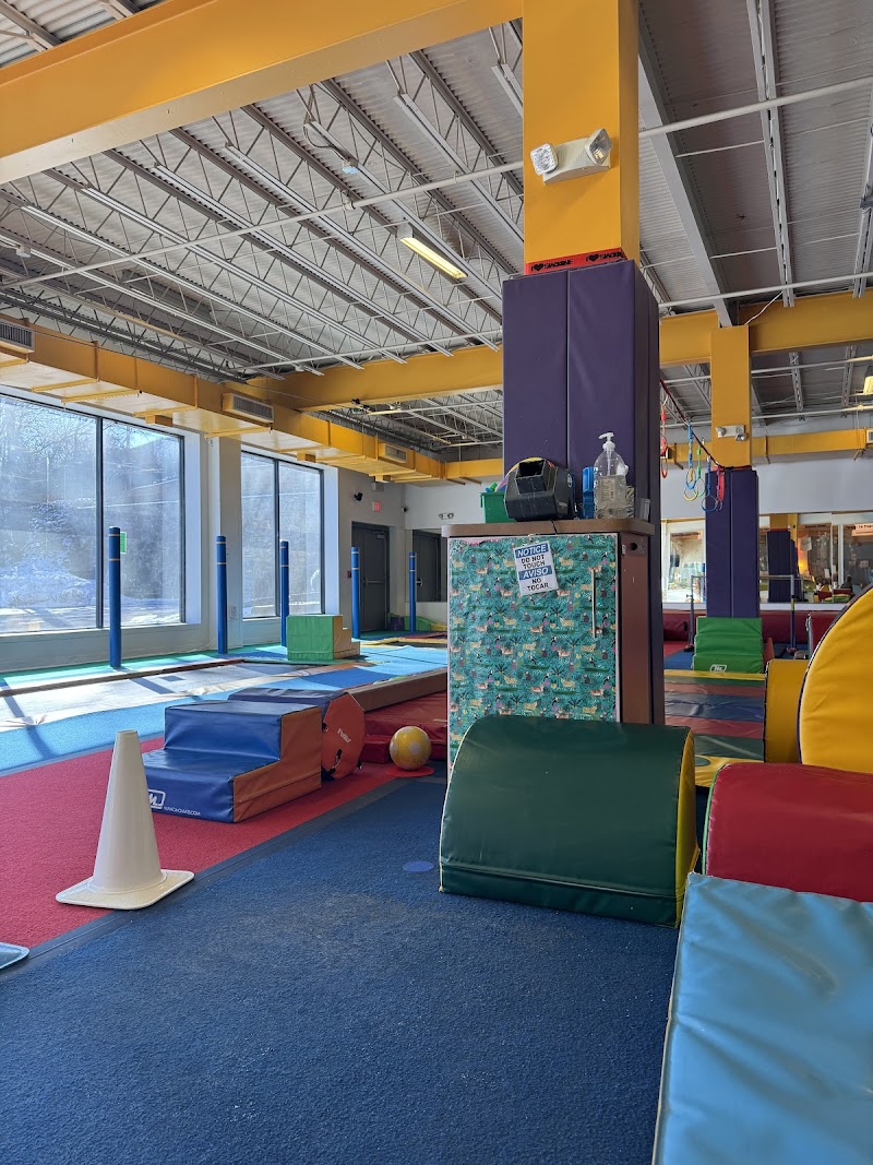 Tumble Jungle photo 2