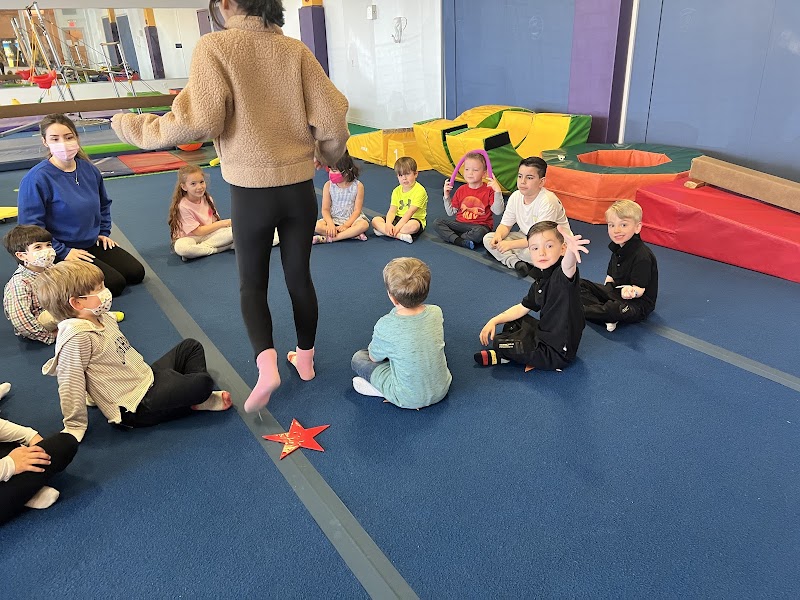 Tumble Jungle photo 3