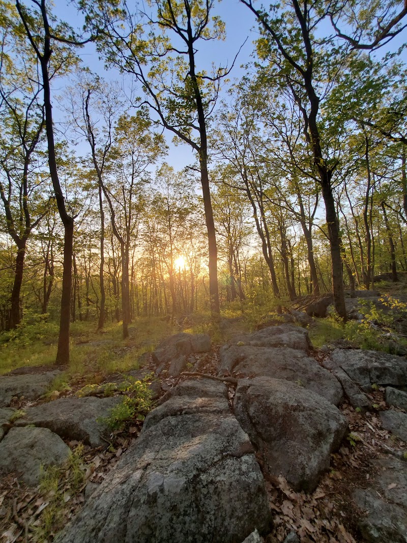 Turkey Mountain Nature Preserve photo 2