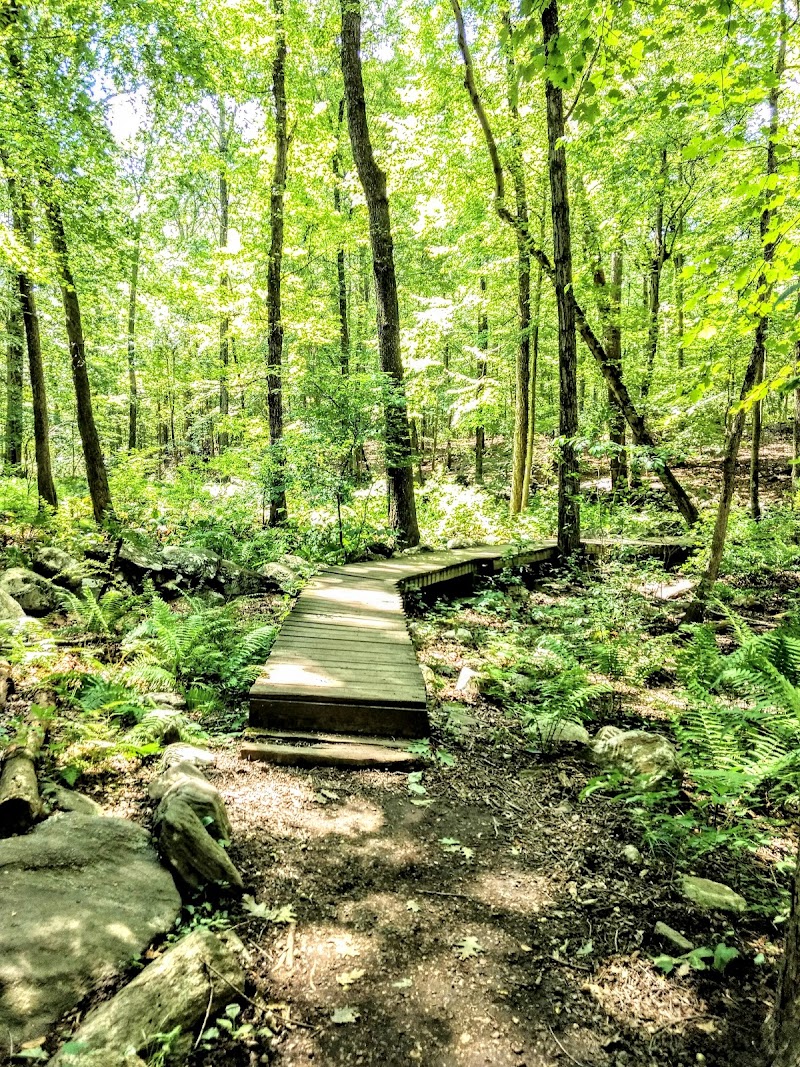 Turkey Mountain Nature Preserve photo 3