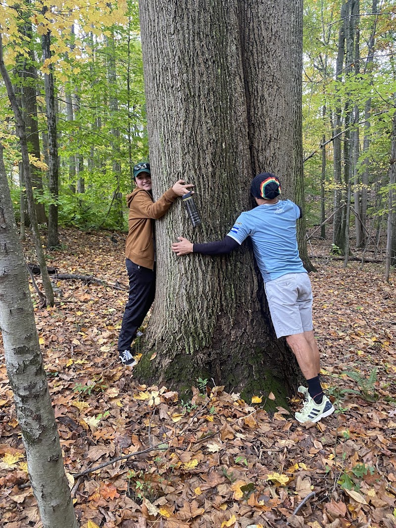 Turkey Mountain Nature Preserve photo 4