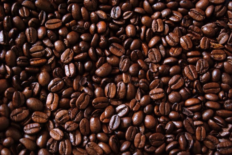 Tusk & Cup Fine Coffee photo 2