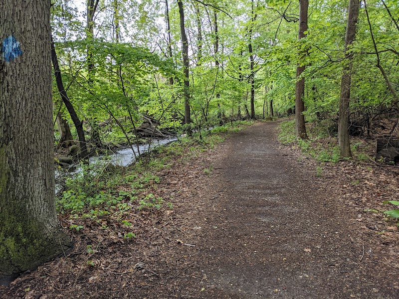 Twin Lakes County Park photo 2