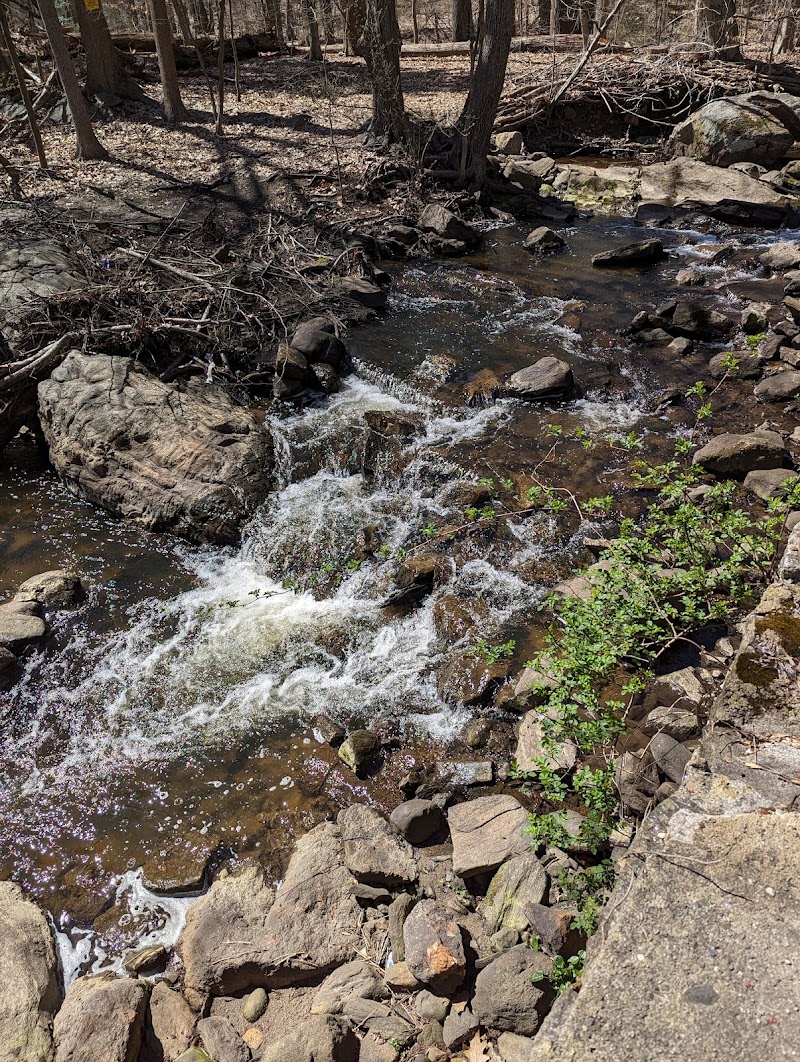 Twin Lakes County Park photo 3