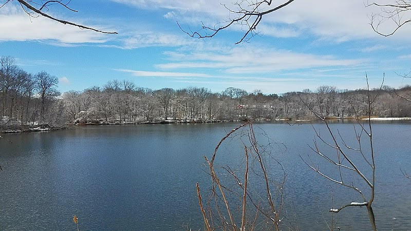 Twin Lakes County Park photo 4