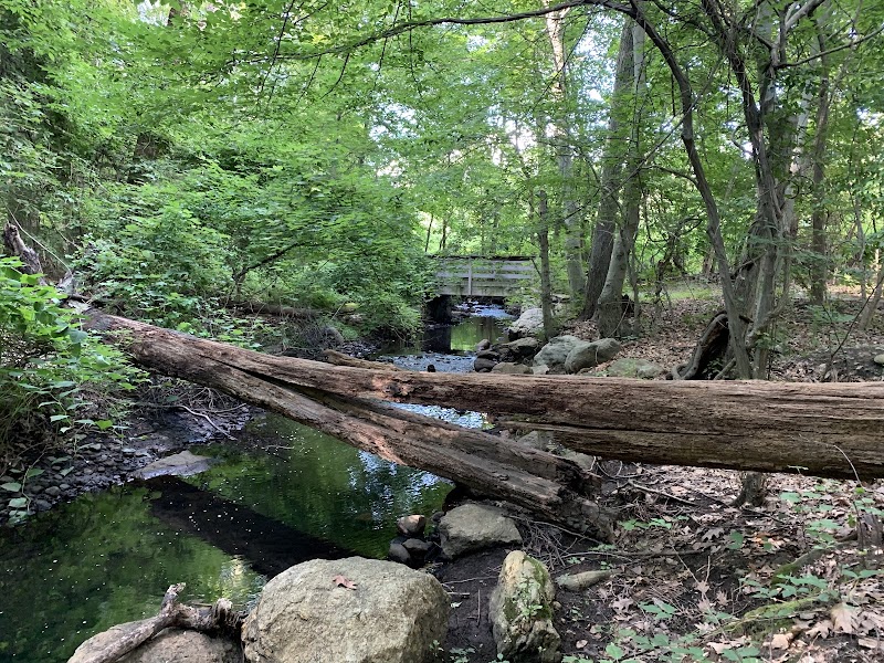 Twin Lakes County Park photo 5
