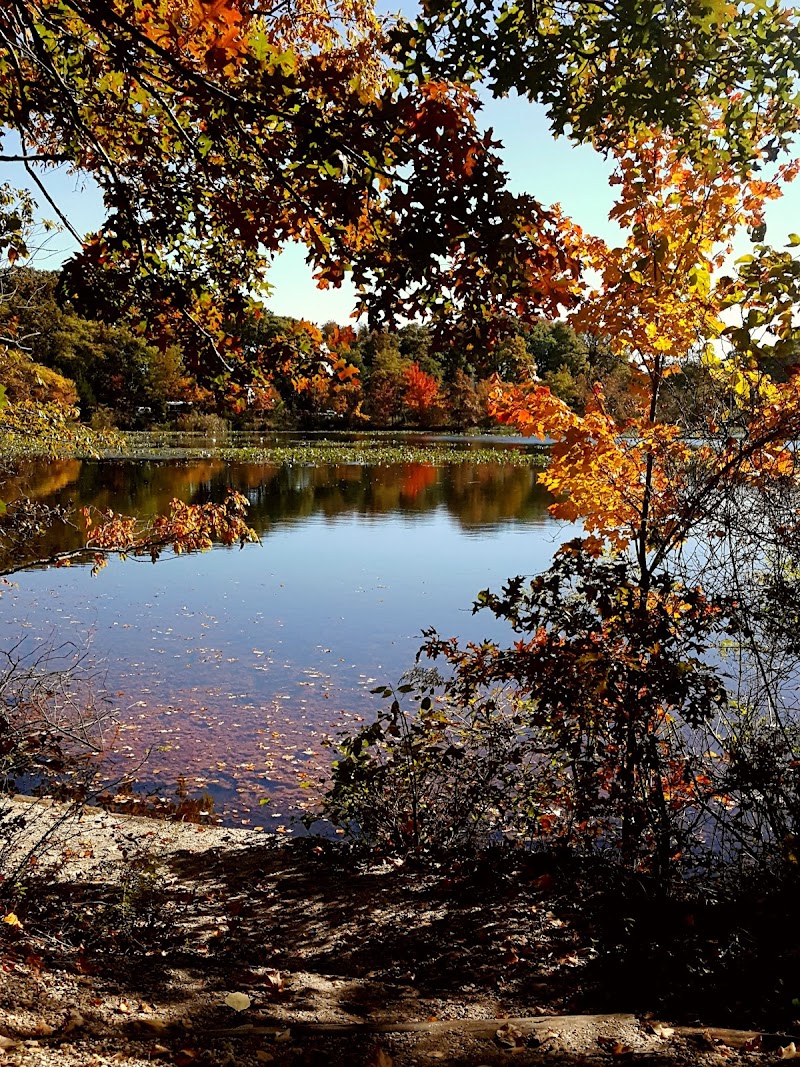 Twin Lakes Preserve photo 2