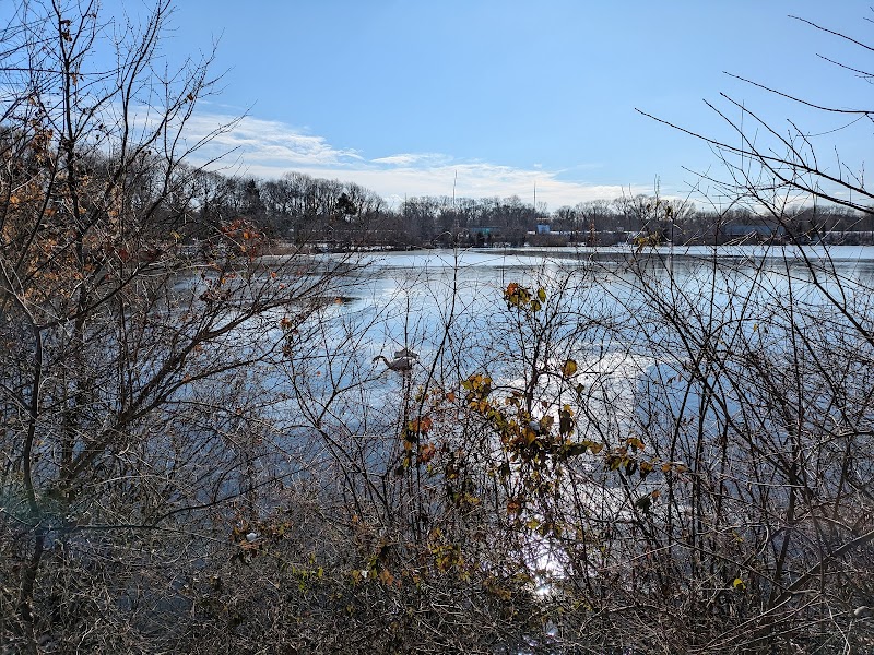 Twin Lakes Preserve photo 3