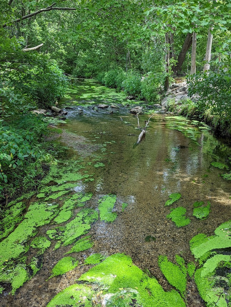 Twin Lakes Preserve photo 4