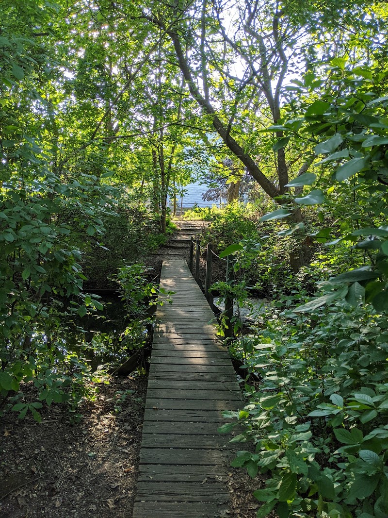 Twin Lakes Preserve photo 5